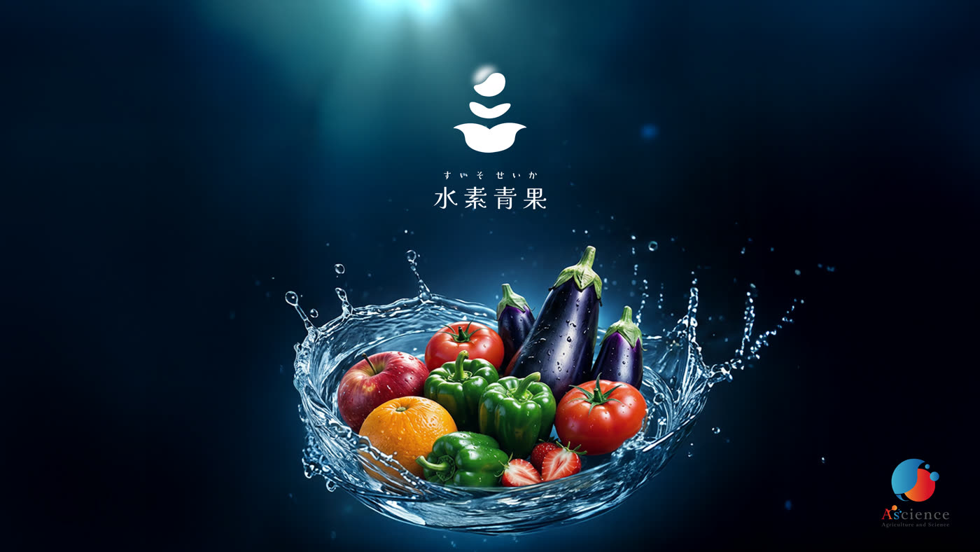 株式会社Ascience 水素青果