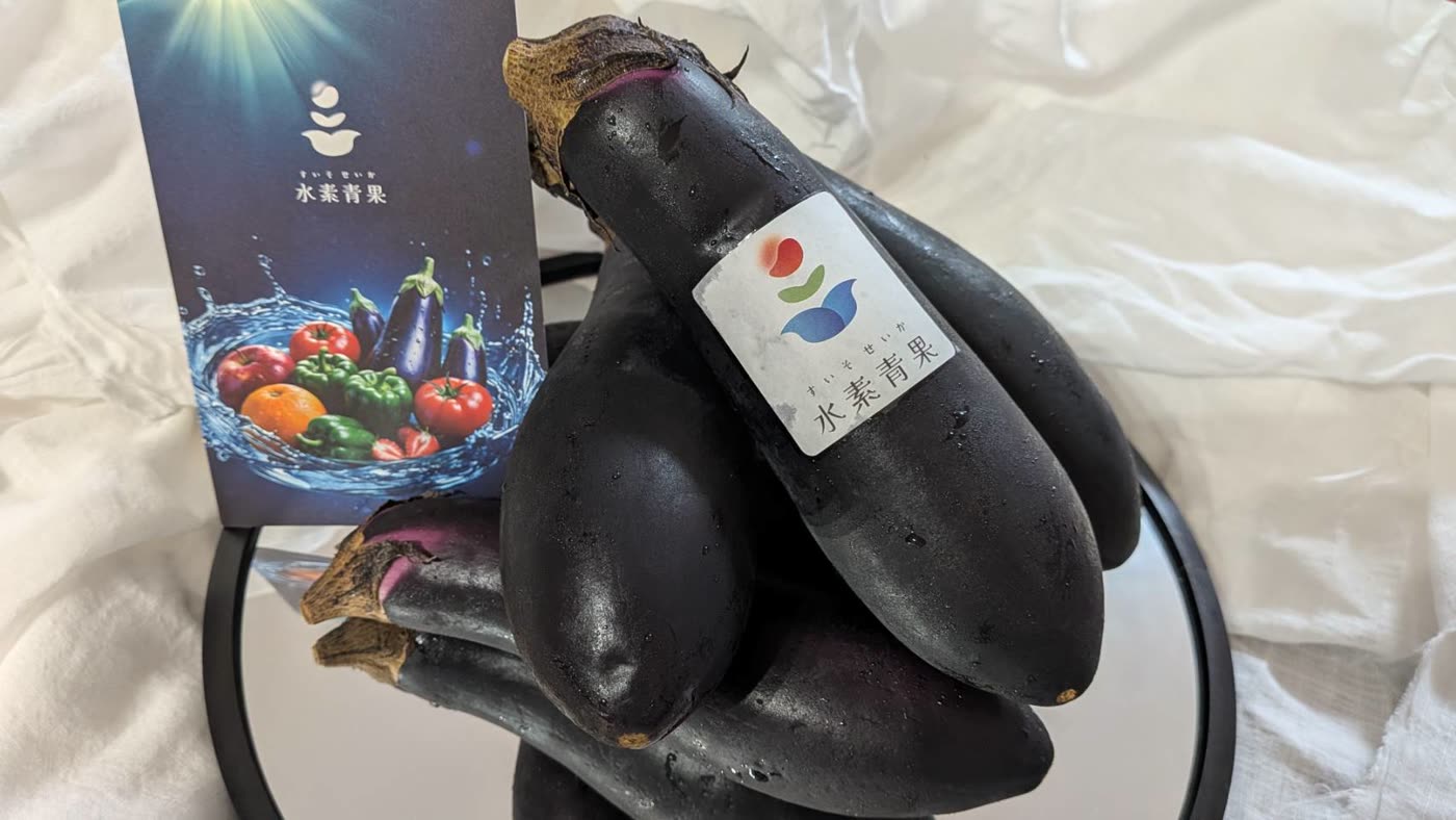 茄子（水素青果）1kg（6本）